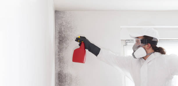 Best Crawl Space Mold Removal  in Cottonport, LA