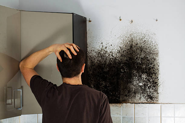 Best Residential Mold Removal  in Cottonport, LA